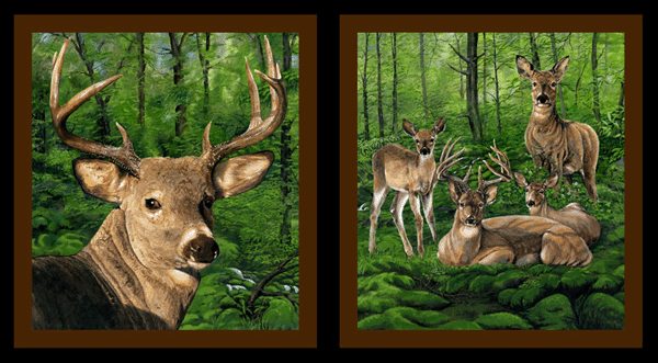 Idee Ago & Filo | Pannello Whitetail Valley