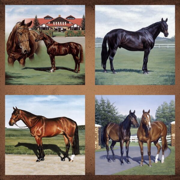Idee Ago e Filo| Pannello Horse Country Quilting Treasures