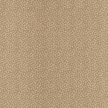 Idee Ago & Filo | Tessuto Blue Barn Prints Biscuit