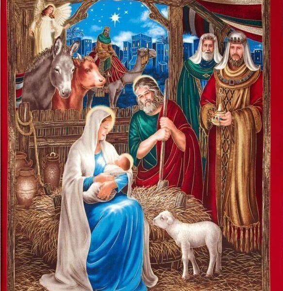 Idee Ago & Filo | Pannello First Noel