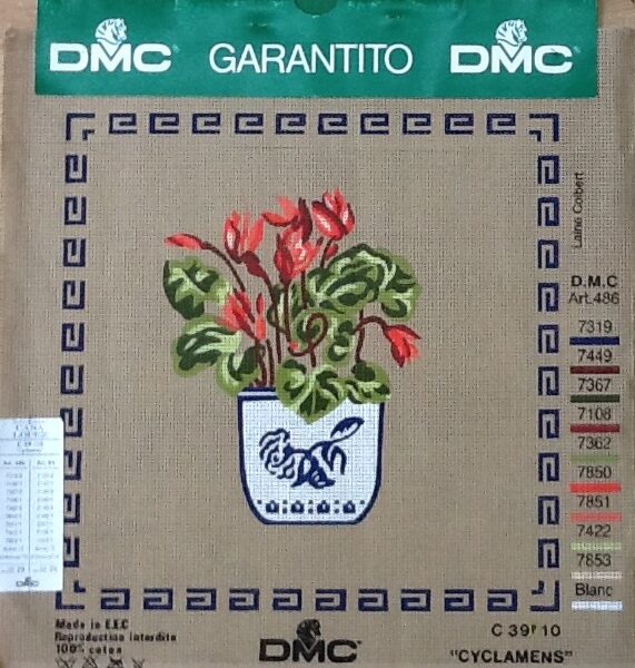 Idee Ago & Filo | Canovaccio ricamo mezzopunto