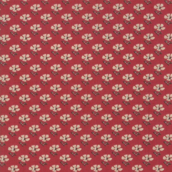 Idee Ago & Filo | Tessuto La vie en rouge garance