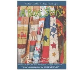 Libro A Boys Story di Anni Downs Hatched and Patched